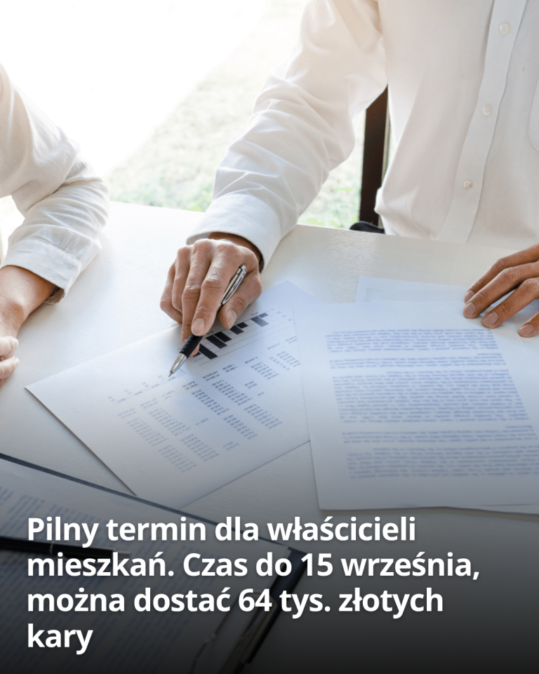 articleops-1786692667604