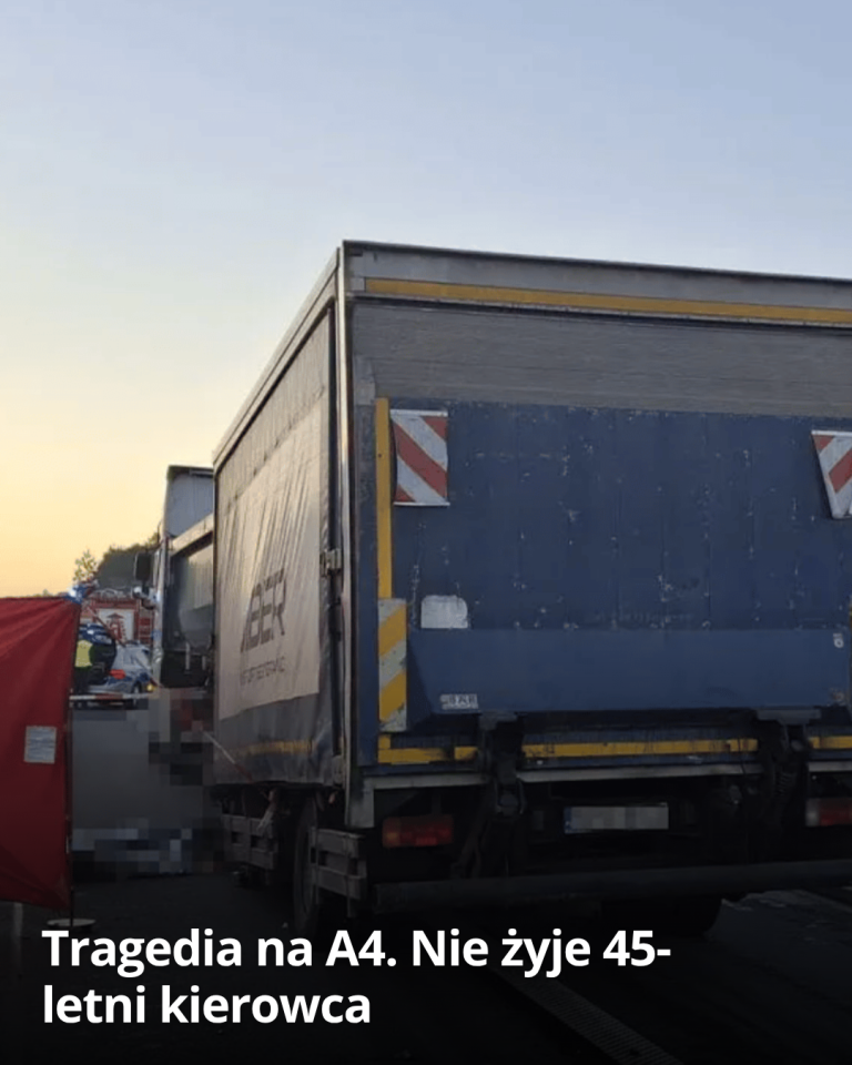 articleops-1786692670046