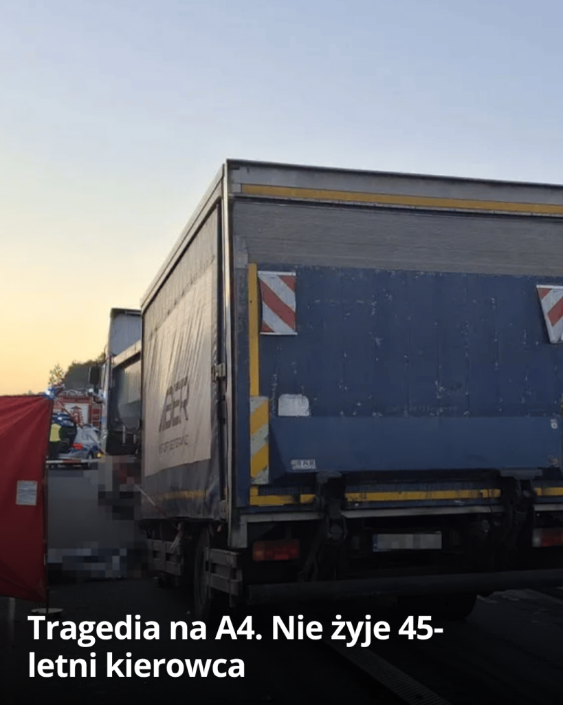 articleops-1786692670046 articleops-1786692670046