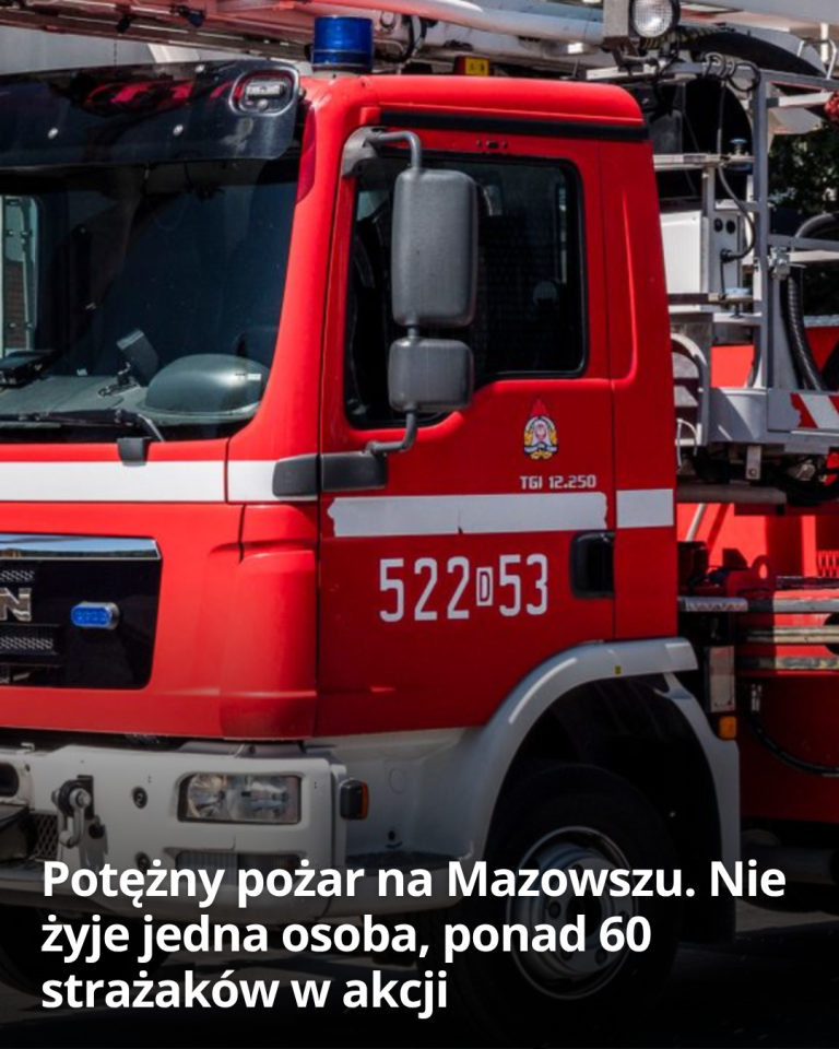 articleops-1786692670943