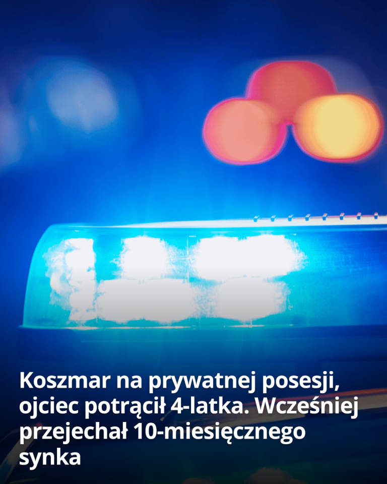 articleops-1787125889481