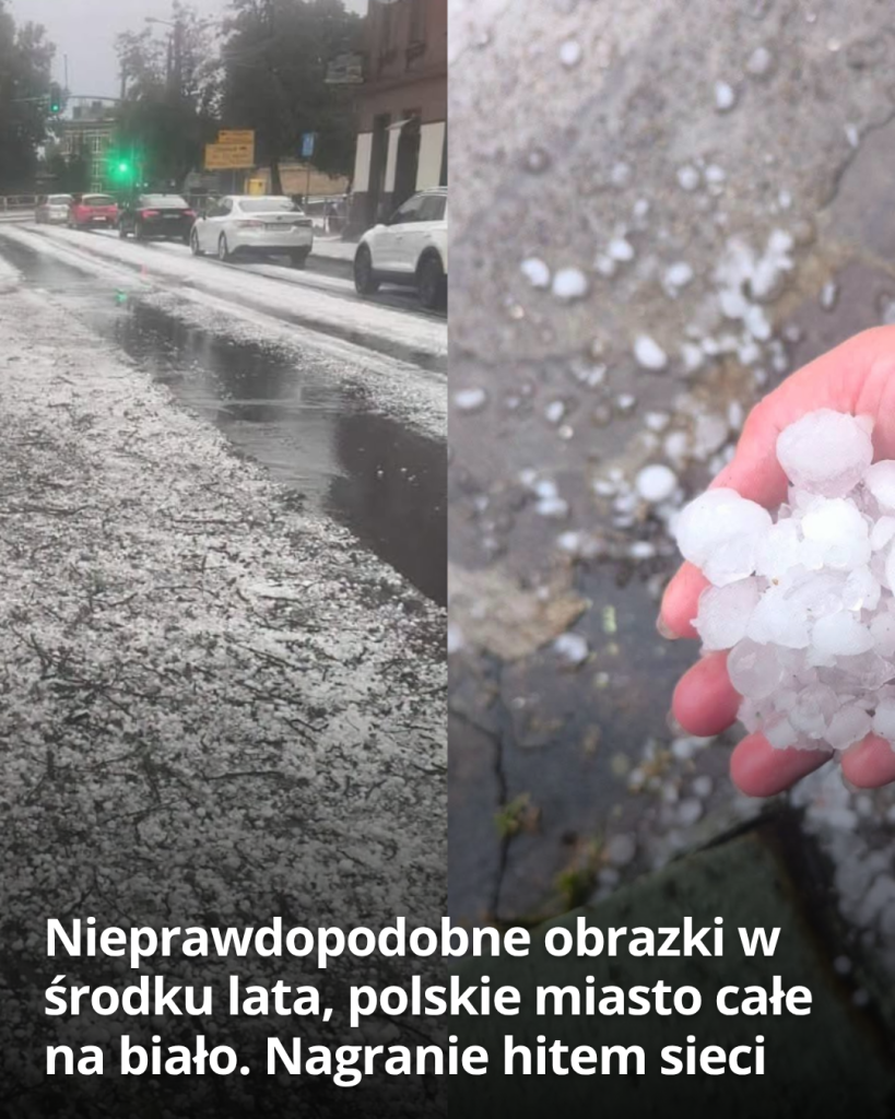 articleops-1787125889906