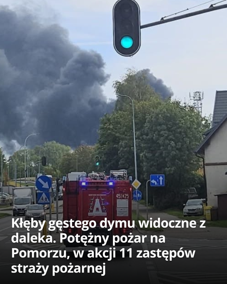 articleops-1789653300965