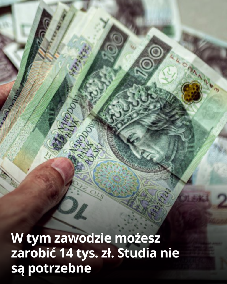 articleops-1789653300999